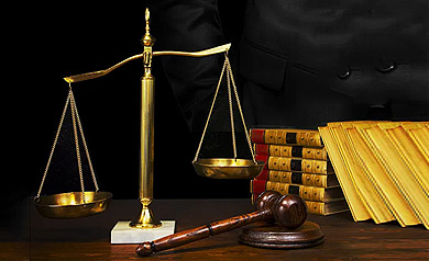 诚然时讯‖知“宪”于心，守“法”于行，诚然律师在行动！——河南诚然律师事务所积极投身宪法日宣传活动